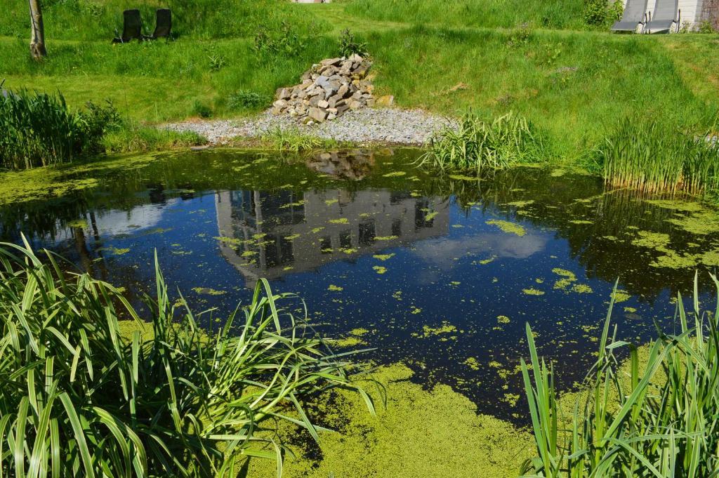 La Lisiere Villa Durbuy Luaran gambar